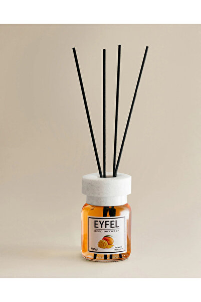 Eyfel XMAS Room air freshener 2 x 120 ml Cinnamon + Mango