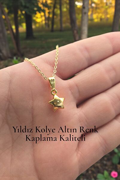 NBS Beautiful Naturel Stones Minimal Yıldız Kolye Kaplama Kaliteli Trend