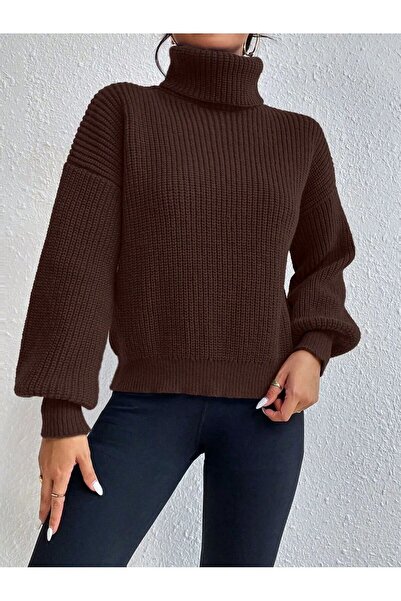 Trendy Mall Premium Knitted Knitwear Women's Sweater