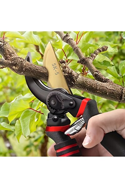Generic 8.5" Professional Titanium Bypass Pruning Shears, Heavy Duty Garden Hedge Clippers