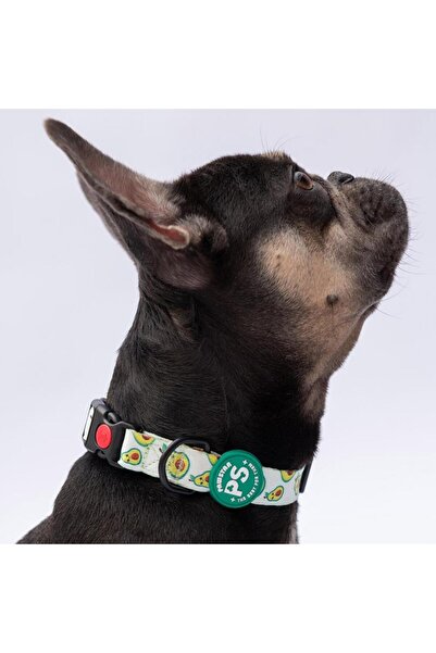 Pawstar Avocado Avokado Desenli Köpek Boyun Tasması Ayarlanabilir Köpek Tasma...