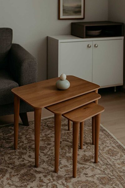 Sfmstore 3’lü Zigon Sehpa Seti – Çok Amaçlı Lake Kaplama MDF Ahşap Modern Yan...