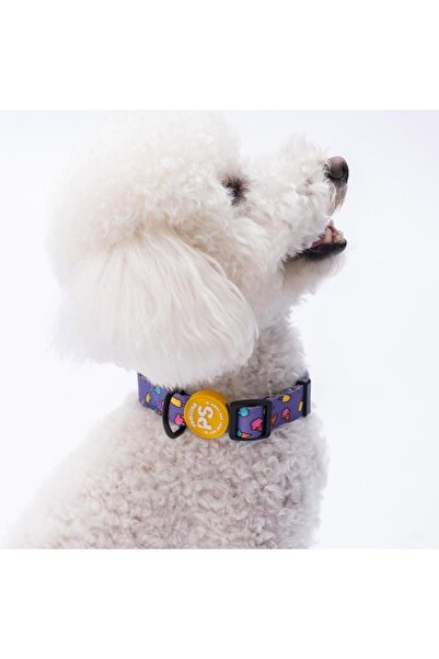 Pawstar Ice Cream Pattern Dog Collar Adjustable Dog Collar Size m (32-48cm Neck Circumference)