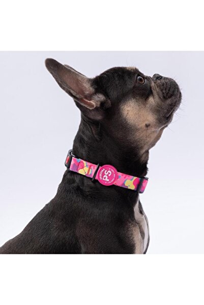 Pawstar Rosea Camouflage Pembe Kamuflaj Desenli Köpek Boyun Tasması Ayarlanab...