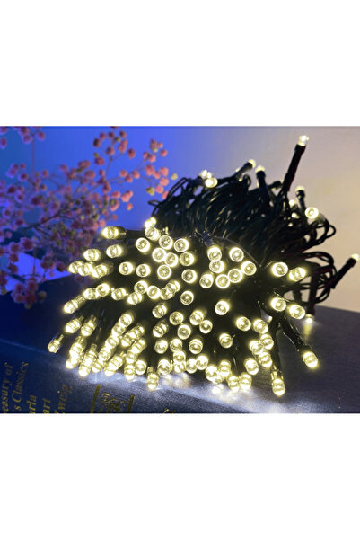 DacEnergy Christmas installation, 23.9 m, 240 LEDs, warm light, 6W, 8-function controller