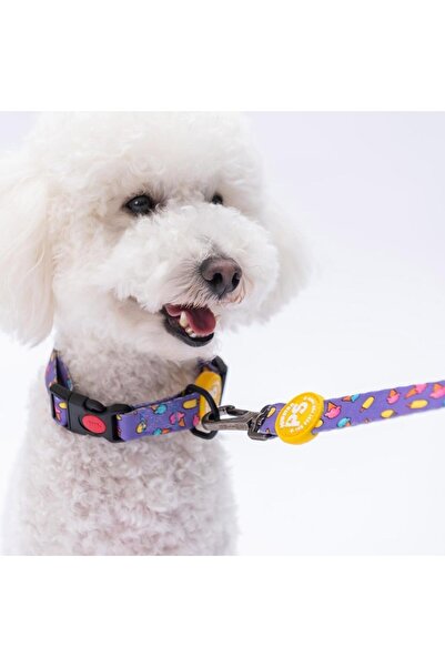Pawstar Ice Cream Pattern Dog Collar Adjustable Dog Collar Size m (32-48cm Neck Circumference)