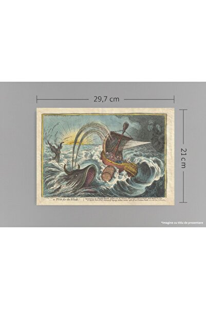 VreauPoster Poster A4 A Tub for the Whale Carton 250gr