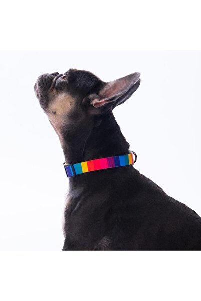 Pawstar Rainbow Colorful Dog Collar with Rainbow Pattern Adjustable Dog Collar