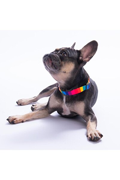 Pawstar Rainbow Colorful Dog Collar with Rainbow Pattern Adjustable Dog Collar