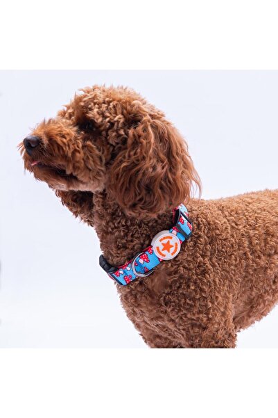 Pawstar Mushroom Pattern Dog Collar Adjustable Dog Collar