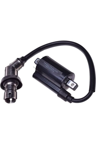 WM Bobină de inducție ATV 300cc