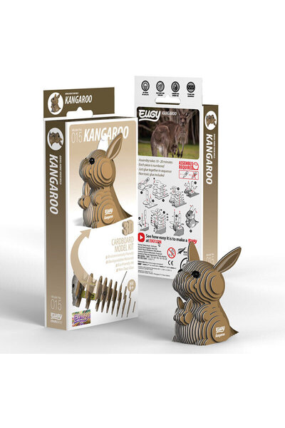 Brainstorm 3D Model - Kangaroo