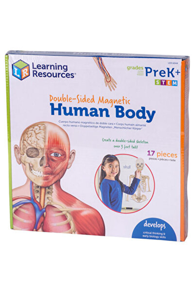 Learning Resources Corpul uman - set magnetic