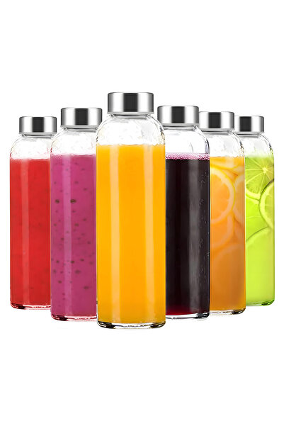 Elindor Set of 6 Elindor® Bottles with Stainless Steel Lids, 100% Leakproof, 22 x 6 cm, 530 ml, Transparent