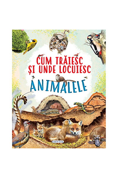 GIRASOL Cum traiesc si unde locuiesc animalele