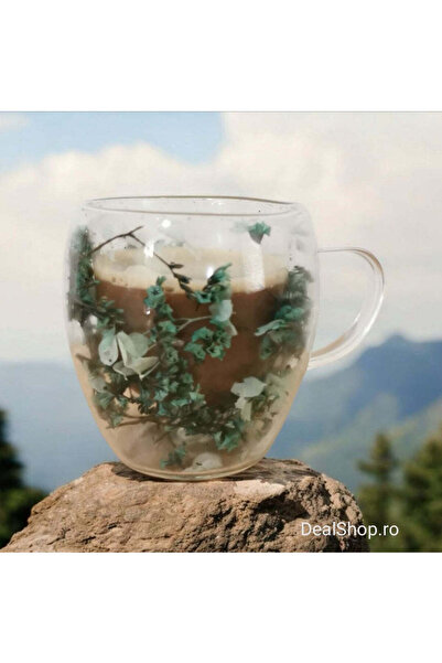 dealshopromania Set 12 cești cafea Pereti Dubli Sticla Termorezistenta, Model Flori Uscate Verde, 250 ml