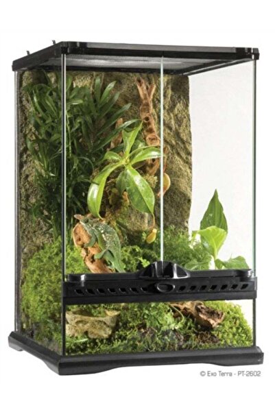 Exo Terra حوض زجاجي طبيعي صغير 30 × 30 × 45 سم