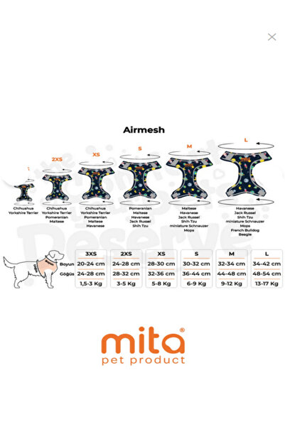 Mita Set of 12 Air Mesh m Chest Straps Space