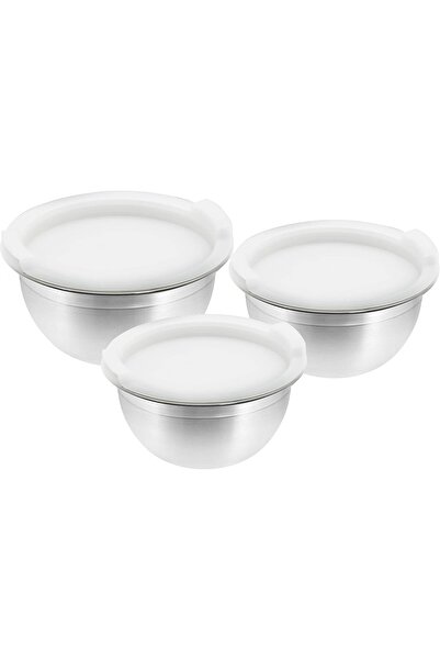RAJ Mixing Bowl With Plastic Lid, Silver, Vpi014, 3 Pieces