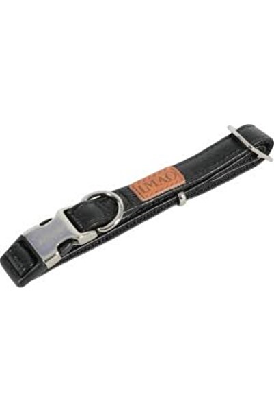 Zolux Picadilly Black Collar