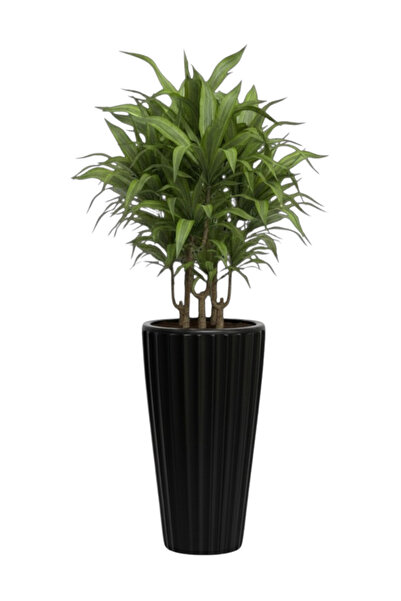 Bliss Lilyum Dekoratif Çizgili Saksı Vazo & Şemsiyelik Siyah Renk 58 cm (İçliksiz)