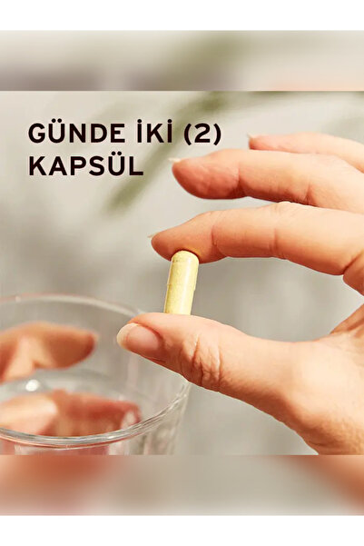 Solgar Quercetin Complex (Kuersetin Kompleks) 50 Kapsül