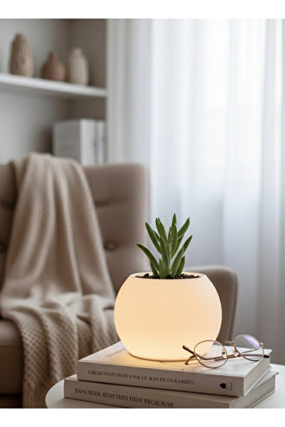 LOFONY Moon Şarjlı Dekoratif Masaüstü Işıklı Lamba Saksı (Gün Işığı)