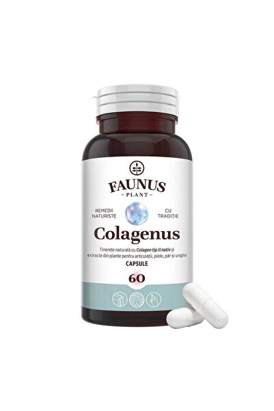 Faunus Plant Colagen Capsule — Concentrated Type II Collagen with Hyaluronic Acid & Medicinal Plants, 60 cap