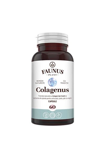 Faunus Plant Colagen Capsule — Concentrated Type II Collagen with Hyaluronic Acid & Medicinal Plants, 60 cap