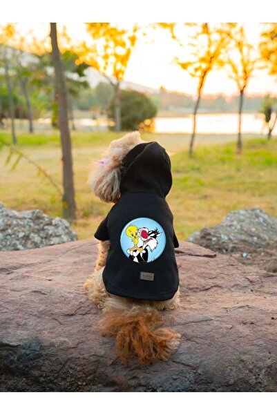 Buddy Store Cat & Dog Outfit Sweatshirt - Tweety&Silvester Printed Black Sweatshirt