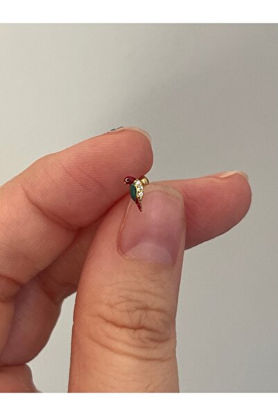 denizden silver Gümüş kuş piercing