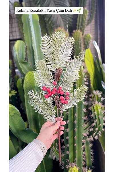 KOZALILAR Yılbaşı Kokina Kozalaklı Yapay Yassı Çam Dalı Dekoratif Süsleme