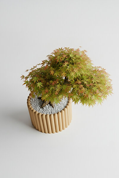 OEM Rounded Columns Decorative Flower Pot – Sandstone Beige Color