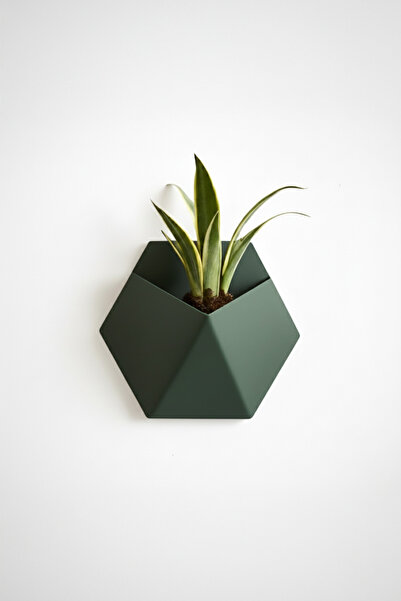 OEM Hexa Design wall planter, Forest Emerald color, geometric design, material -friendly