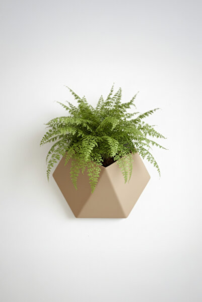 OEM Hexa Design wall planter, Sandstone Beige color, geometric design, eco-friendly material