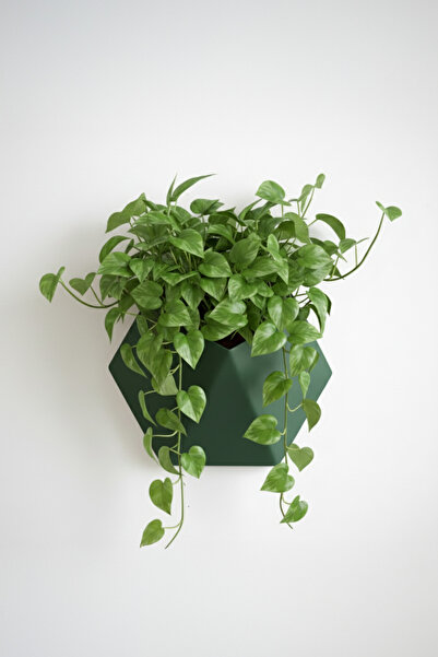 OEM Hexa Design wall planter, Forest Emerald color, geometric design, material -friendly