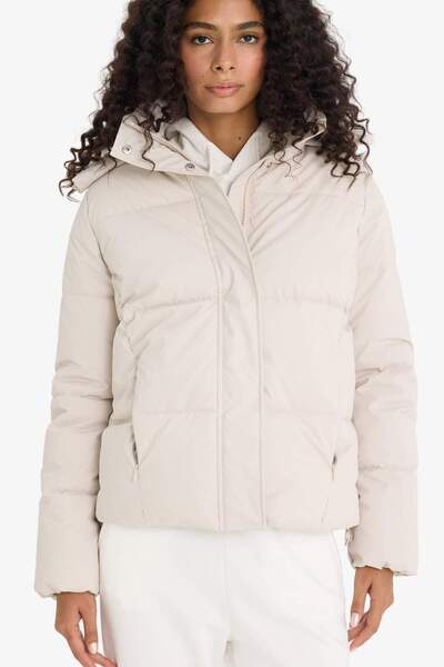 DeFacto Regular Fit Hooded Zippered Puffer Jacket F2143Ax25Wn