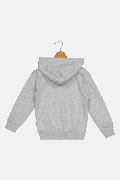 Disney x Micky And Friends Kids Boy Long Sleeve Hoodies, Heather Grey