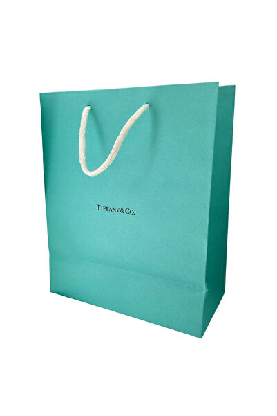 OEM Tiffany & Co, Tiffany & Co., Χάρτινη τσάντα GWP, Πράσινο, Μέγεθος L