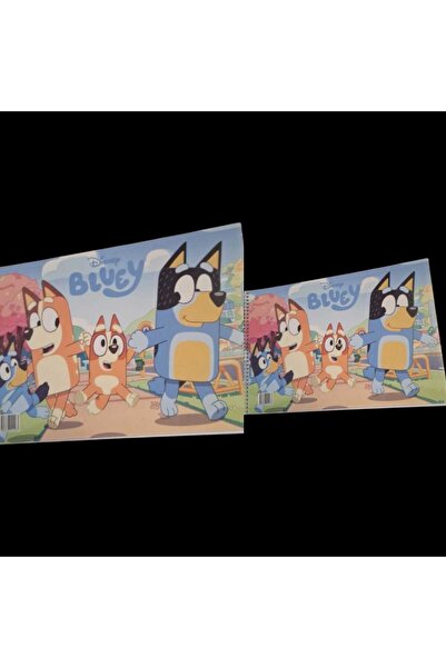 mutluanılarpartievi 2 adet küçük boy Bluey resim Defteri