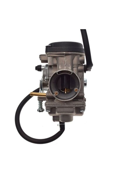 WM Carburator ATV Bashan BS250S-5