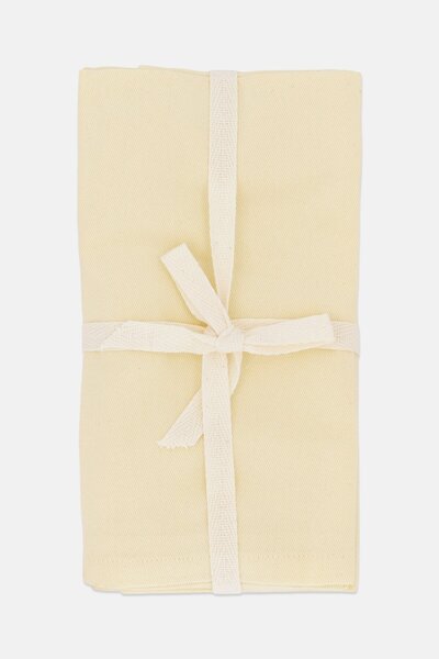 Bebe 4 Pieces Solid Cotton Table Napkins, Ivory