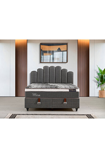 İmaj MIRA BAZA BASLIK