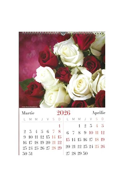 ALIAS PUBLISHING Calendar cu trandafiri, A3, 6 file,