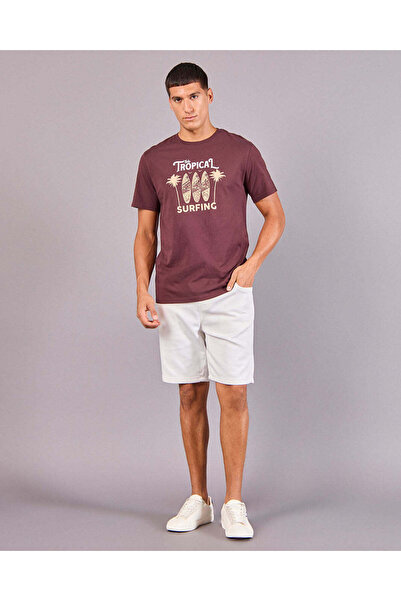 REDTAG Men Burgundy Basic Graphic T-Shirt