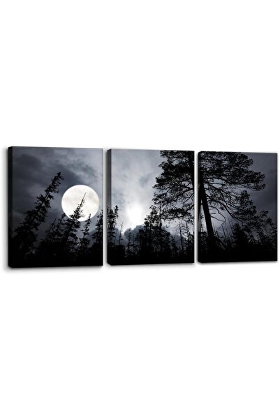 Emoda home Trove لوحة فنية جدارية مؤطرة من القماش لمنظر طبيعي ليلي للقمر في غ...