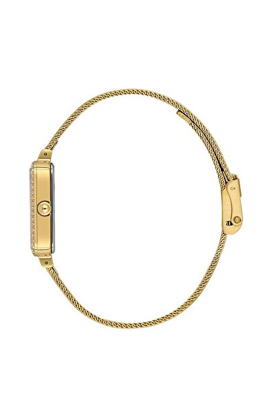 Daniel Klein Dke.1.10969-3 Women's Watch