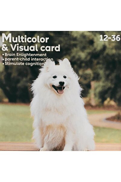 OEM Set of 20 Educational Visual Cards for Children 12–36 Months – Real Images Double-Sided, Montessori Type