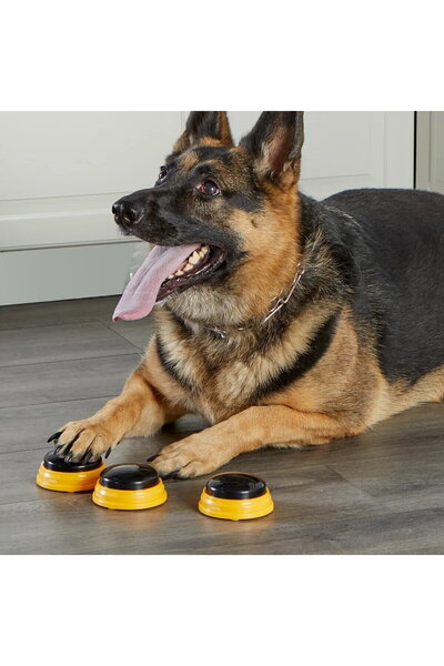 Hunger for words Set dresaj caini - Sonerii dresaj catel cuvinte esentiale