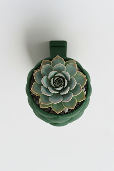 OEM Exclusive wall planter – Quilted Elegance design, Forest Emerald color